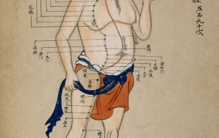 Acupuncture Points
